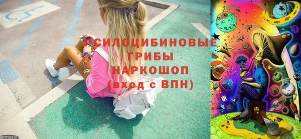 стафф Вяземский