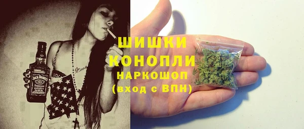 стафф Вяземский