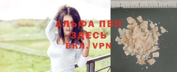 стафф Вяземский
